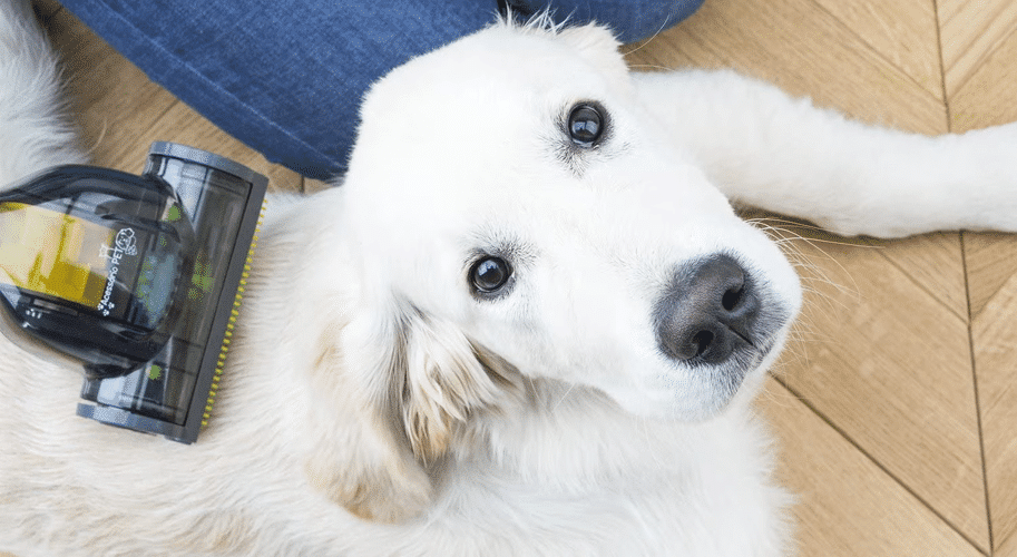 ce putere trebuie sa aiba un aspirator in functie de suprafata