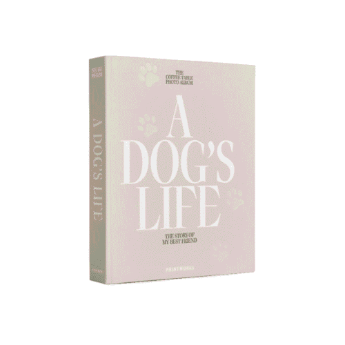 Album foto 60 de poze 10 x 15 cm, Printworks, A Dog`s Life, bej