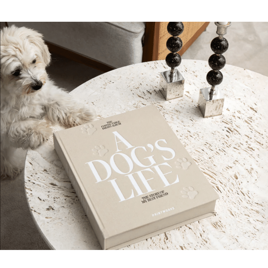 Album foto 60 de poze 10 x 15 cm, Printworks, A Dog`s Life, bej