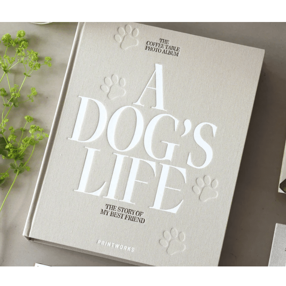 Album foto 60 de poze 10 x 15 cm, Printworks, A Dog`s Life, bej