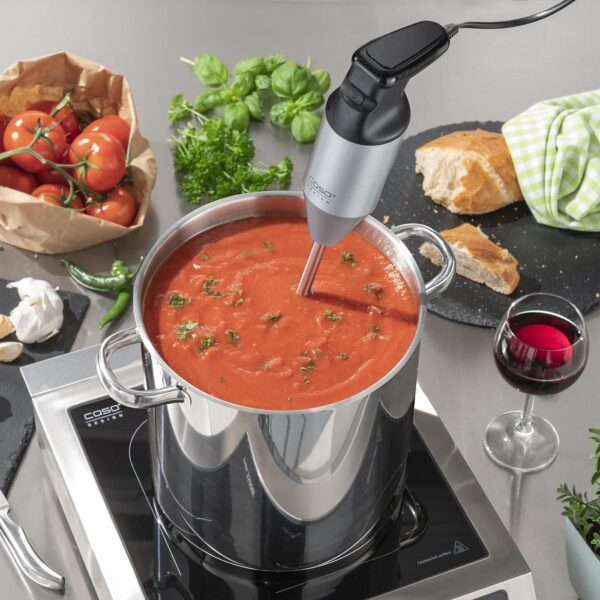 Blender de mana profesional, Caso Germany, HB 2400 Pro XL, argintiu