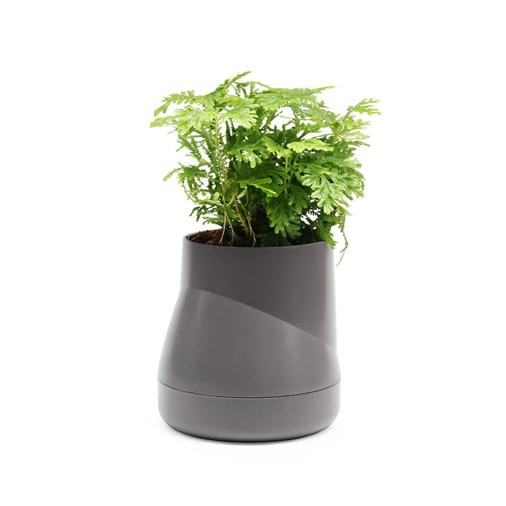 Ghiveci cu sistem de autoirigare, DesignNest, Plant Pot Large, gri