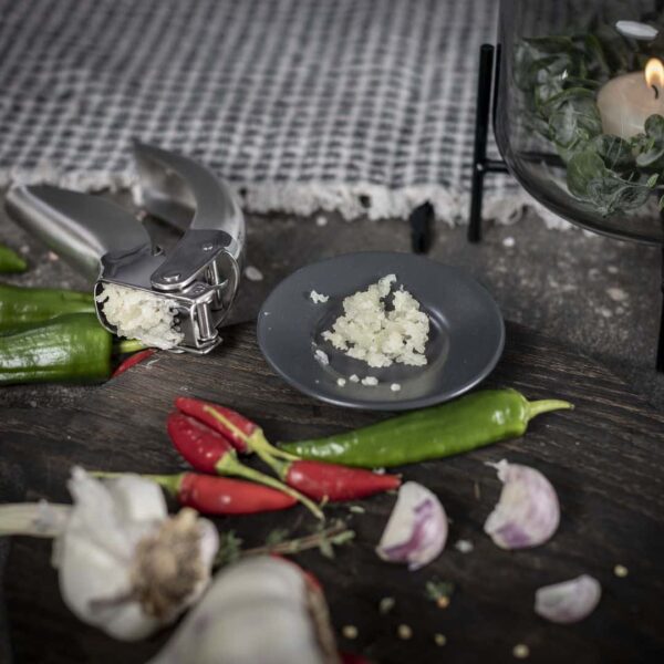 Presa usturoi, Kuhn Rikon, Epicurean Press, inox