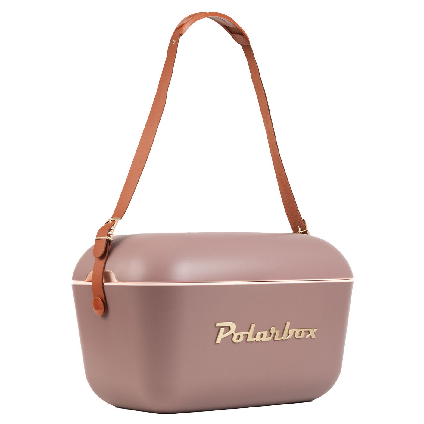 Cutie frigorifica, Polarbox, Gold, 20 litri, taupe
