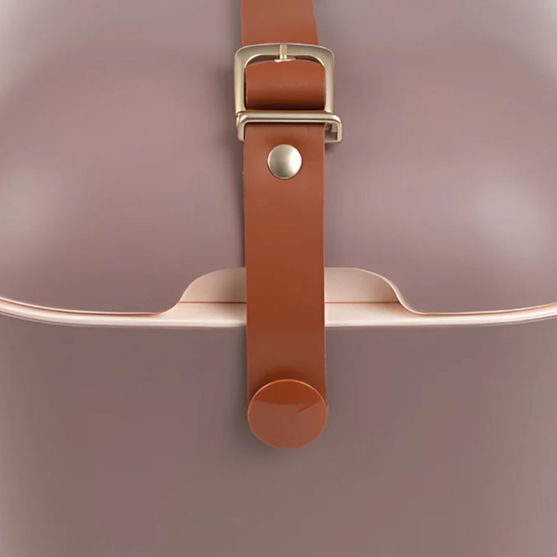 Cutie frigorifica, Polarbox, Gold, 20 litri, taupe