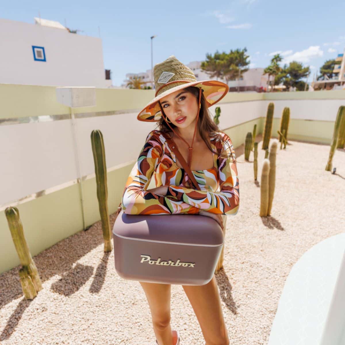 Cutie frigorifica, Polarbox, Gold, 20 litri, taupe