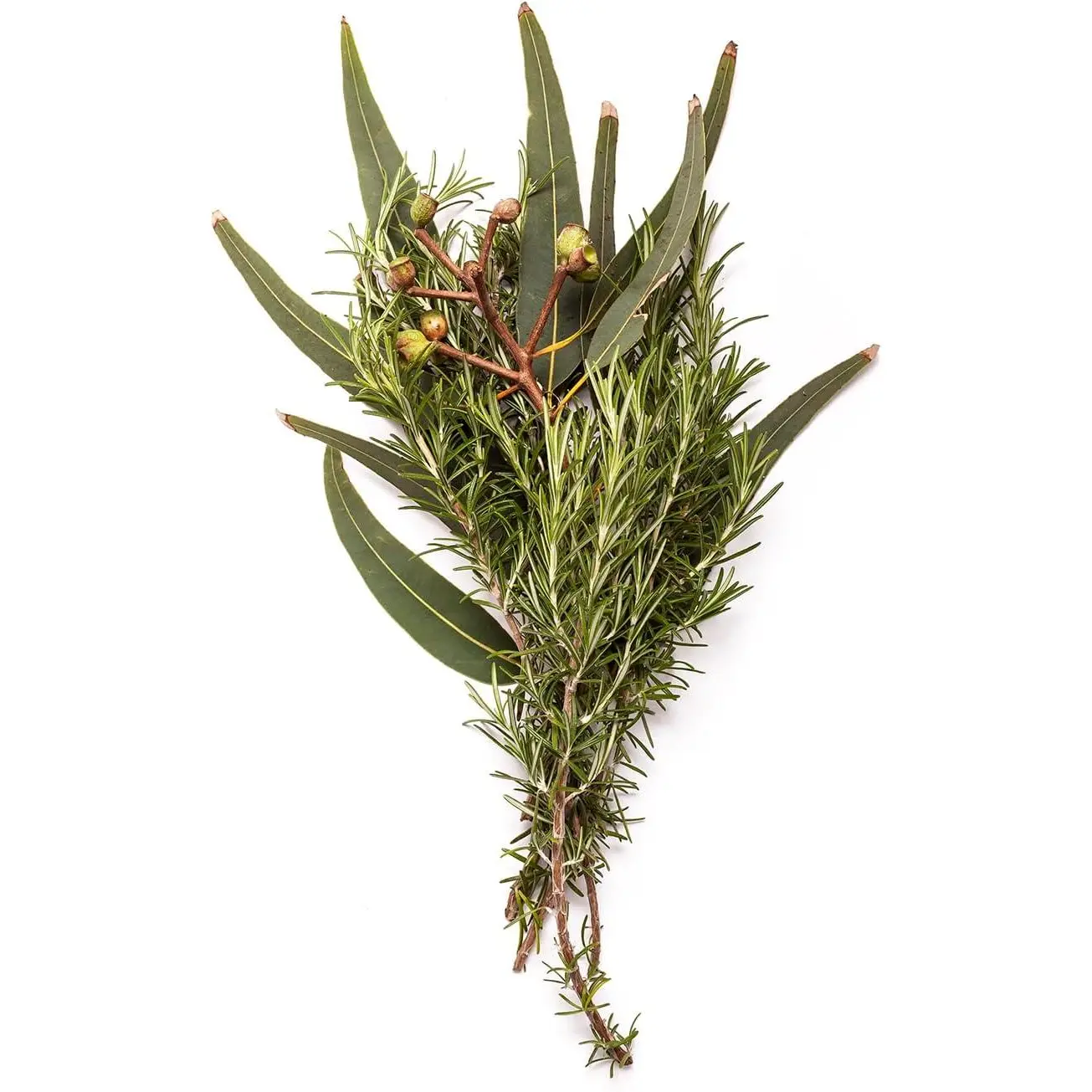 Detergent de rufe natural, Bondi Wash, rozmarin si menta, 500 ml