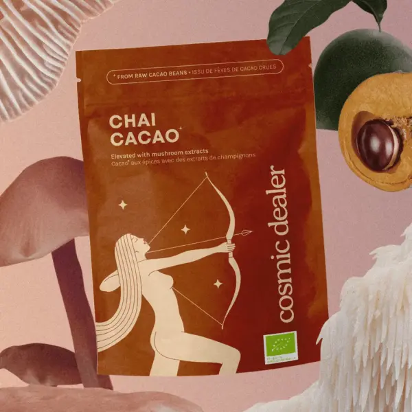 Cacao organica cu ciuperci adaptogene, Cosmic Dealer, Chai, 120 g