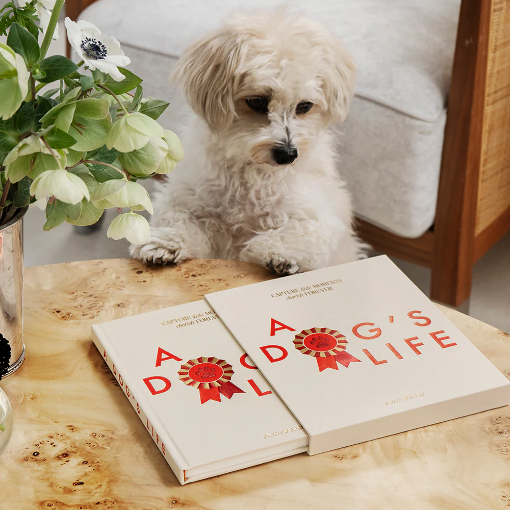 Jurnal pentru patruped, 64 pagini, Printworks, A Dog's Life, crem