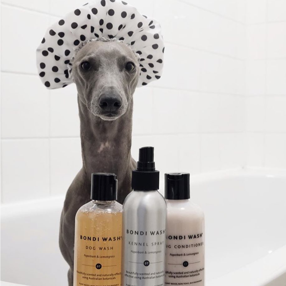 Sampon pentru caini, Bondi Wash, paperbark si citronela, 500 ml