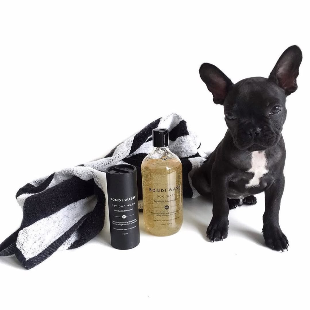 sampon pentru caini, bondi wash, paperbark si citronela, premium, 100% vegan, potrivit si pentru piele sensibila, formula imbogatita cu uleiuri esentiale, antibacterian, antifungic, anti-insecte, caine langa produse, prosop, fundal alb