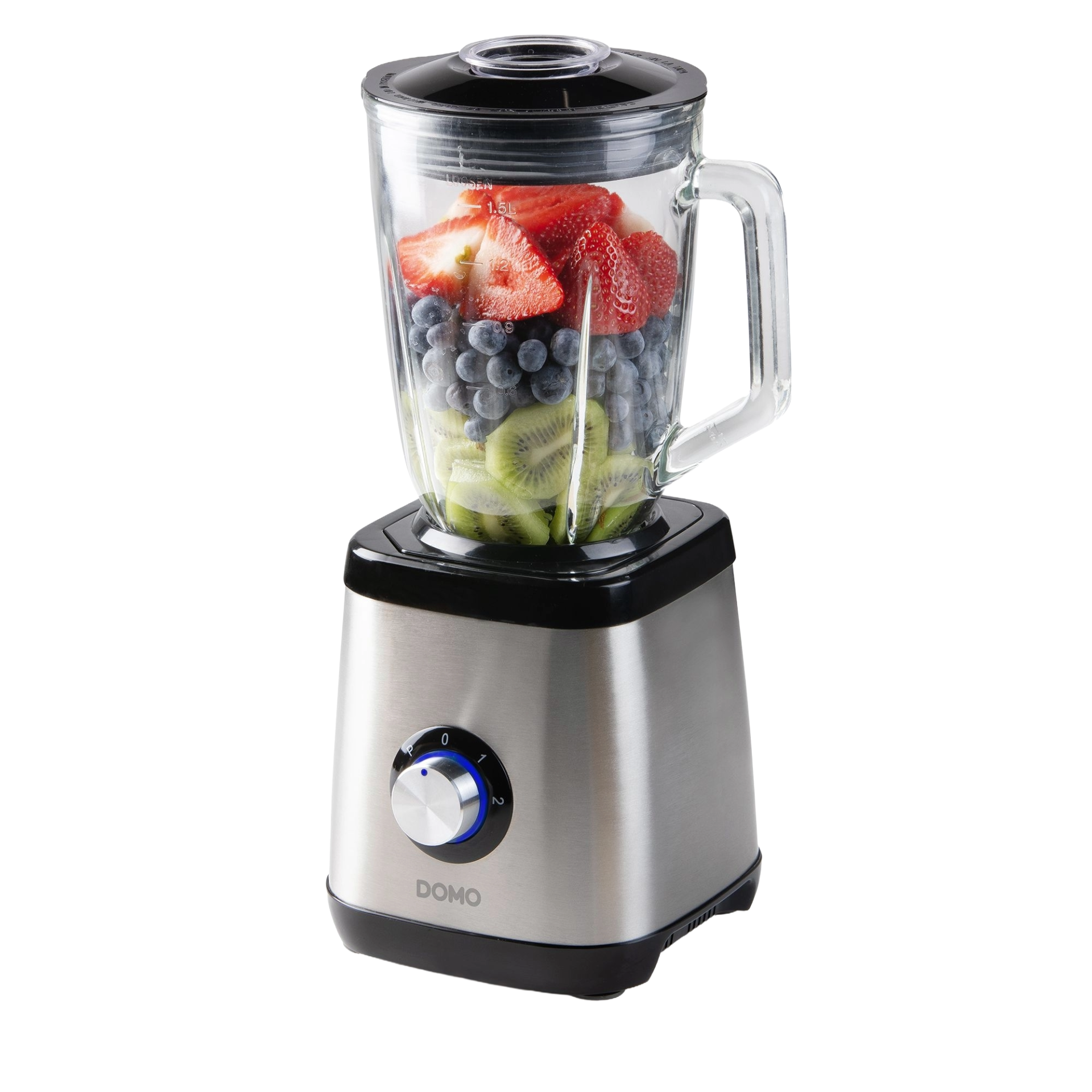 DO1133BL blender domo inox