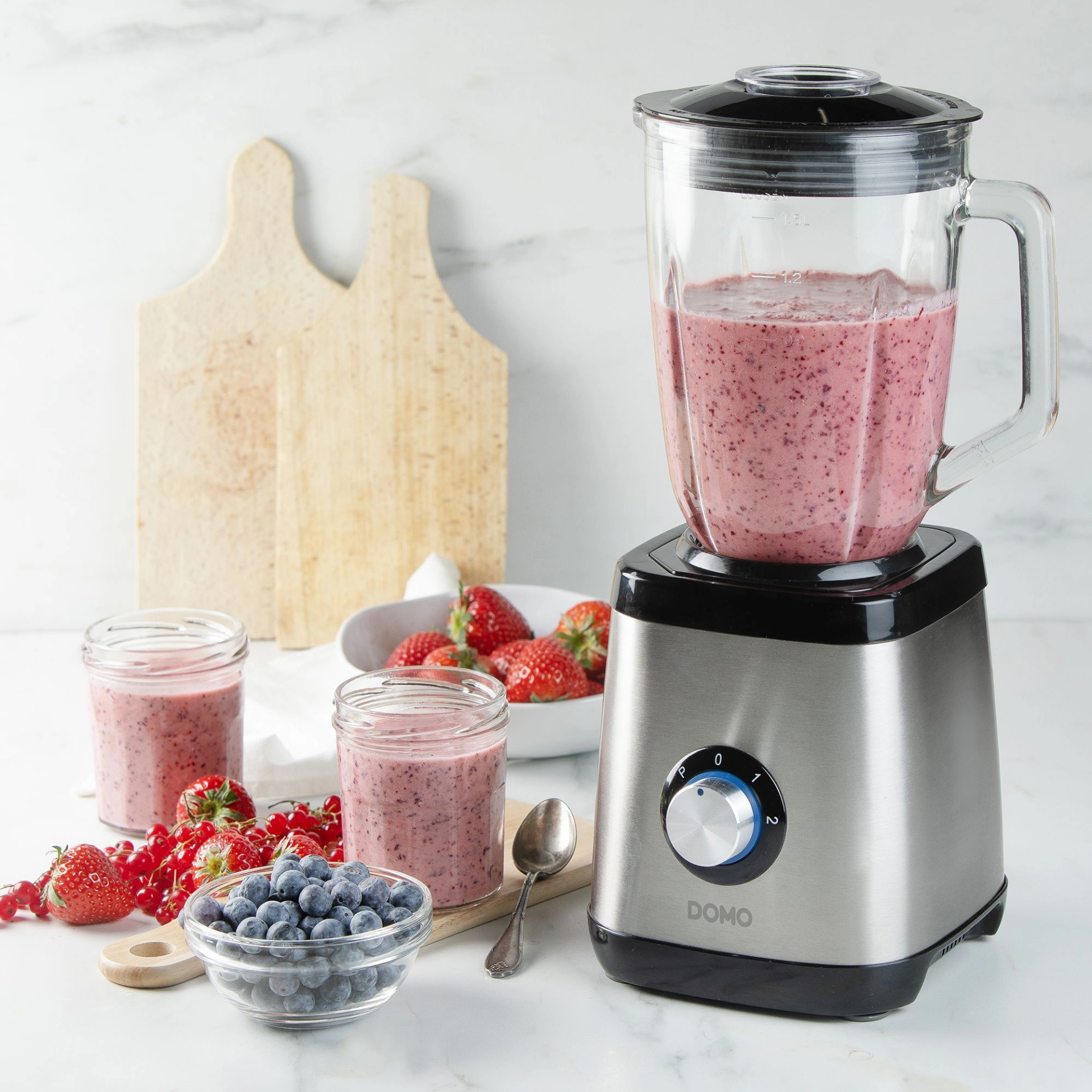DO1133BL blender domo inox