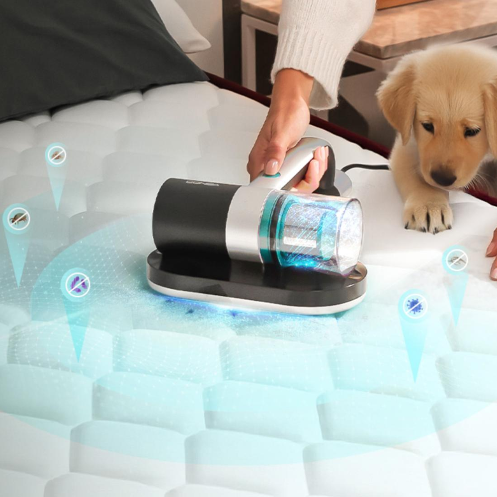 Aspirator antiacarieni pentru saltele si lenjerii de pat Cecotec, Conga Rockstar 3000, sterilizare cu lumina UV-C, dezinfectare in profunzime cu aer cald, elimina pana la 99,9% din bacterii, 10 kPa, cyclonic system, negru/argintiu, curatat salteaua langa un catel